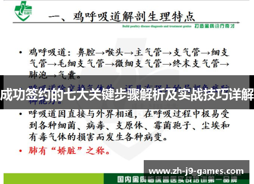 成功签约的七大关键步骤解析及实战技巧详解