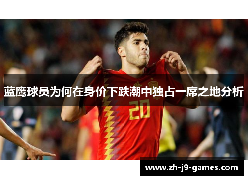 蓝鹰球员为何在身价下跌潮中独占一席之地分析